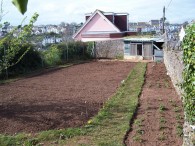 April 14th 2009 - Site all dug and tidy