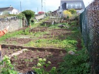 April 1st 2009 - Day one looking up the plot